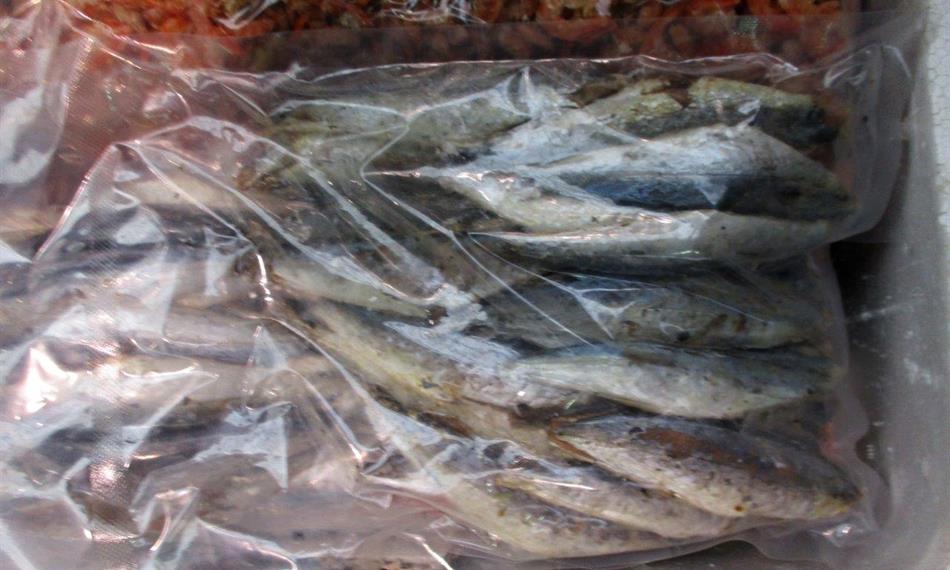 2021-2-16-822mražené ryby 1.jpg